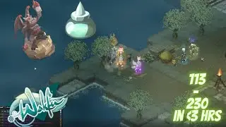 Wakfu Pact XP CHEAT ~ 113 To 230 In Under 3 Hours!!! Ft. Wang Nan Er