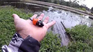 RATINHU a isca que pega muita TRA&Iacute;RA 💥🎣