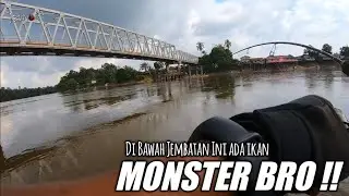 LURE MANTAP BUAT MEMANCING IKAN HAMPALA BESAR DI BAWAH JEMBATAN || Reynold SB 07/07/19