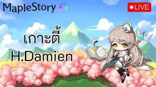 🔴 MapleStory N | วันนี้ไปเกาะ H.Damien
