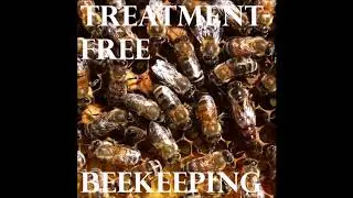 Kirk Webster, Commercial Honey Producer - Episode 32 - Treatment-Free Beekeeping Podcast