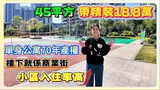 大亞灣梵高的海小區｜45平方 帶精裝18.8萬｜單身公寓70年產權｜去小區入住率高｜樓下就係商業街｜#惠州房產 #惠州買樓 #海景房#退休