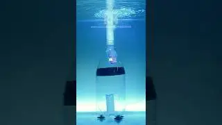 DIY Aquarium Fish Waste Filter That REALLY Works!