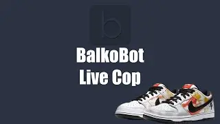 Nike SB Dunk Raygun Live Cop - BalkoBot