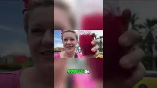Krabi Roselle: Musisz tego spr&oacute;bować! Idealny nap&oacute;j na wakacje!