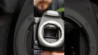 Canon EOS 5D Mark IV + 24-105mm ASMR Test + Service + Sample Photos #asmr #camera #canon