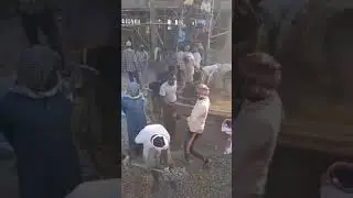 Dhismaha Jaamacada raaso 10kii bariba beel baa dhista markii laga reebo shaqaalaha joogtada ah