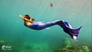 Mermaid Wreck Dive