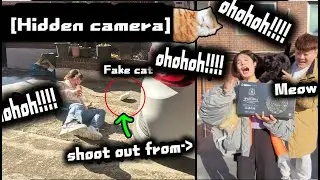 [Hidden camera] If a street cat doesn't come out of the car and surprises you!?