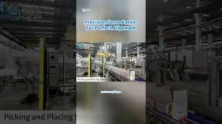 Zero-Leak High-Speed Glass Bottle Packaging with Servo Coordinate Case Packer