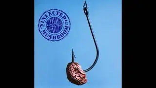 Infected Mushroom - Drop Out [HQ]