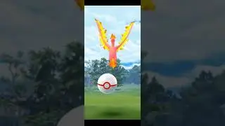 ✨Shiny Moltres✨ Raid in PokemonGo