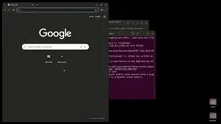 Work with Already Opened Browser