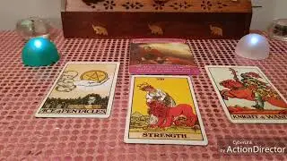 Leo November 2017 How your love interest feels about you tarot reading