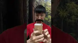 Do you know that tree #shorts
