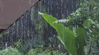 The Best Extreme Heavy Rain for Sleeping 🌧️ | Instant Relaxation & Stress Relief