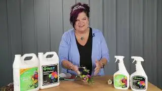 Советы: спреи для финишной отделки цветочных композиций