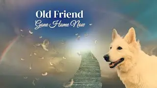 Old Friend &mdash; A Country Song for Anyone Who&rsquo;s Lost a Beloved Dog