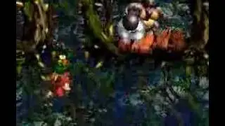 DKC2 100% Bramble Scramble