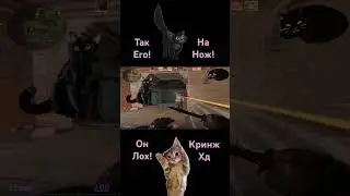 Котяшный скилл хд #discord #games #2023 #funny #csgo #2024 #cs2 #skill #скилл
