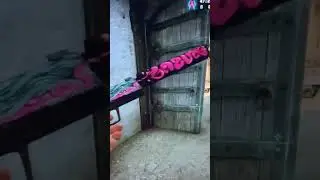 #shorts #csgo кто угадает в чем прикол