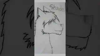 Speed art my oc - Shade the wolf