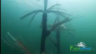 The Science Behind Fishiding Artificial Fish Habitat (Part 10 of 10):