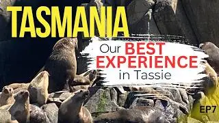 What happened on Bruny Island was outstanding EP7