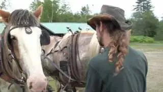 Vermont Mountain Top Inn Equestrian Vacation
