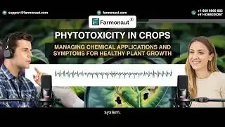 Phytotoxicity in Crops : Managing Chemical Applications and Symptoms for Healthy Plant Growth