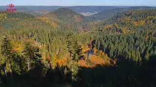Wanderung zum Ellbachsee