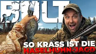 So KRASS REALISTISCH 😳 Mit CALLER und FLINTE aufHaselhuhnjagd im dichten Wald! 🌲