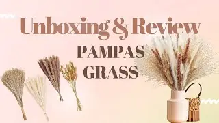 Unboxing | 110 Pieces of Pampas Grass