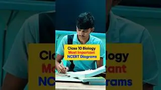 Top Biology Diagrams from NCERT | Class 10 Science | Must for CBSE Board 2025-26 #class10science