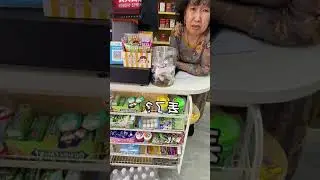 The Runaway Journey of Blind Liu Guangming #CutePetsVlog #CutePets #RescuedDog
