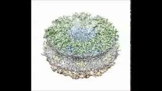 Structure and gating of the nuclear pore complex