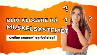 Innowell e-læring: Introduktion til Det Muskulære System – Anatomi og Fysiologi.