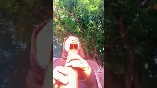 Ancient Mayan drone flute 432hz E minor.