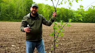Hodag Licking Stick System Overview and Setup