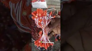 9mm 12 volt Led Chain 🔥#darshanelectric #led #pixel #durgapuja2023 #ledlights