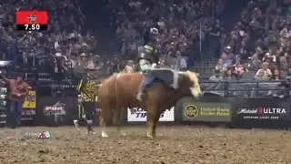 Ariat PBR Sacramento