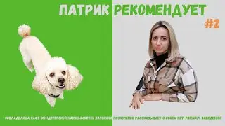 Сложно ли открыть pet-friendly заведение в Киеве? Кафе Hansel & Gretel. Выпуск #2/Патрик рекомендует