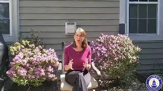 Senator Laura Fine shares a personal message for International Holocaust Remembrance Day