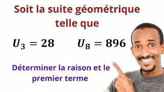 Suite num&eacute;rique: determiner la raison et le premier terme de la suite g&eacute;om&eacute;trique 