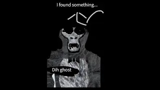 Trying to find a ghost 
