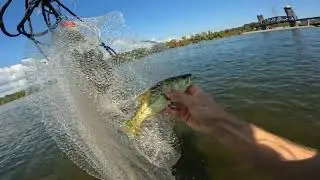 Fishing the Riverpark in Chattanooga