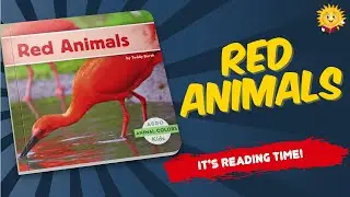 Abdo Kids Red Animals | Reading Books for Kids