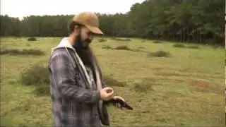Taurus Judge firing cutshells