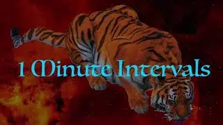 Tiger Meditation Timer || Every 1 Minute 30 Minute Interval Timer Mindfulness, Meditation