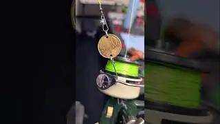 Euro Coin Fishing Lure on Vintage Cardinal Reel #fishing